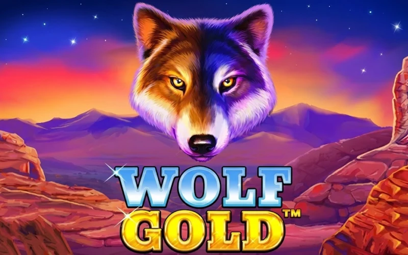 Cace jackpots e ganhe muito dinheiro com Wolf Gold na Onabet.